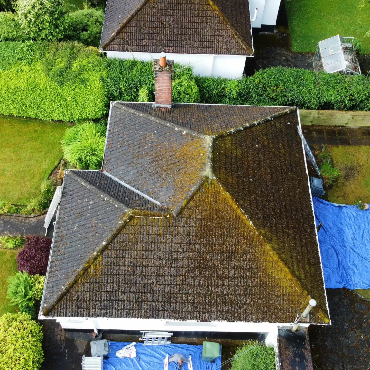 roof cleaning belfast